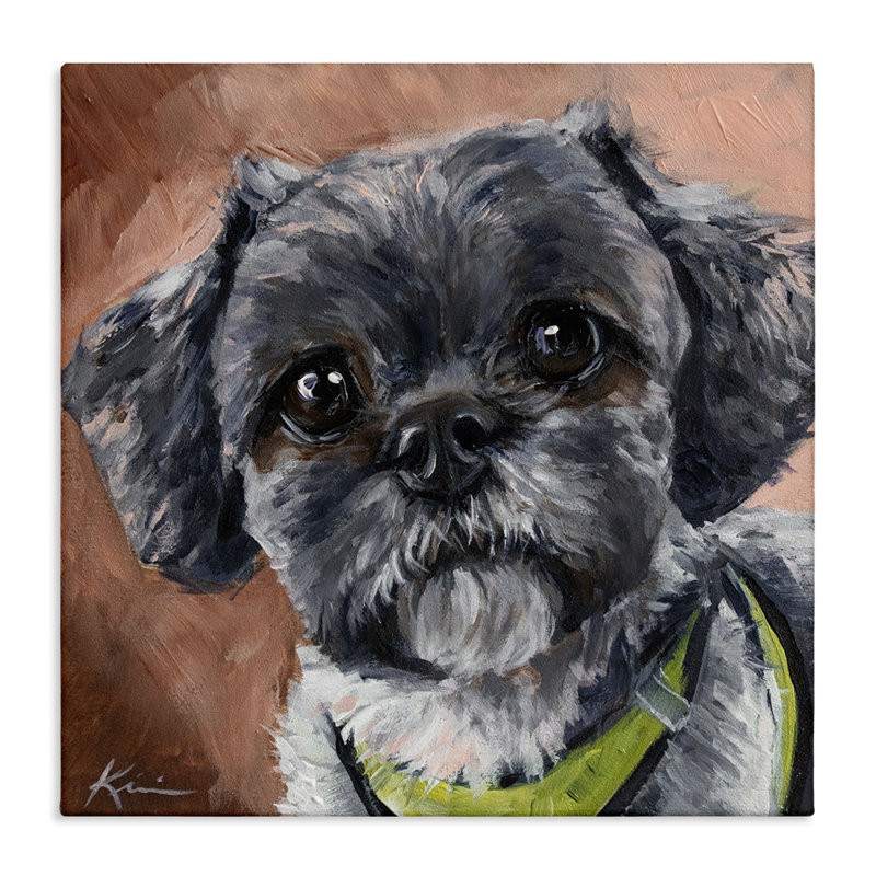 Au-855-Toile, portrait de chien Shih Tzu noir sur toile par Lindsay Kivi, peinture d'art, H 36 po x l 36 po x P 1,5 po