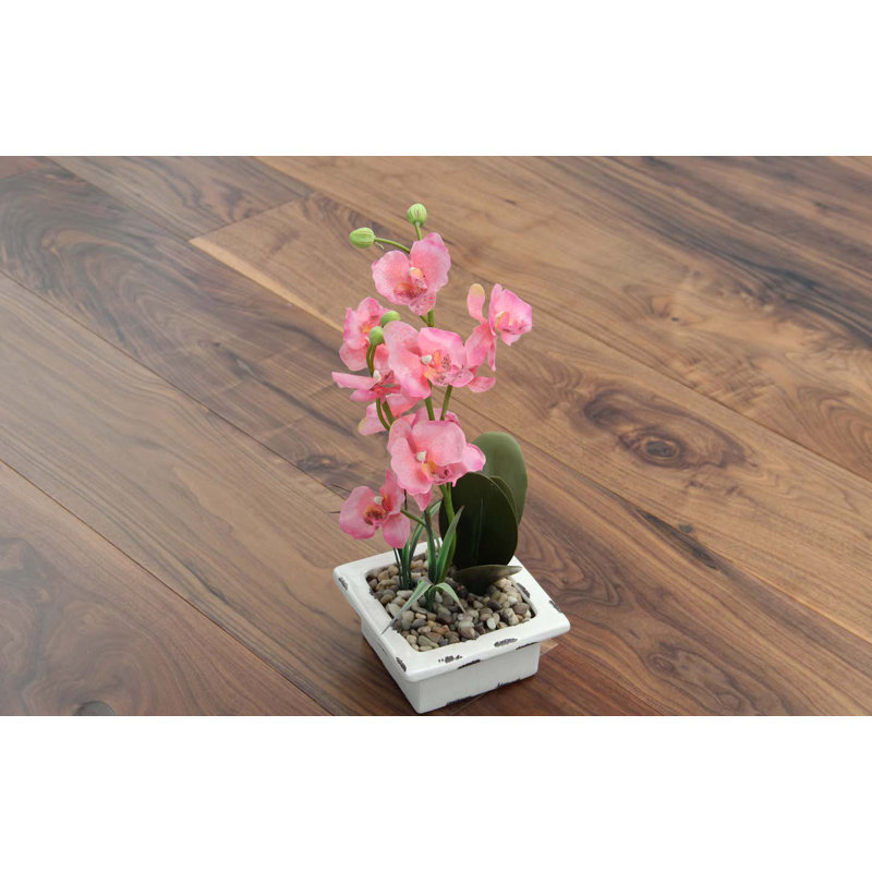 EW652 Plank Walnut Hardwood Flooring