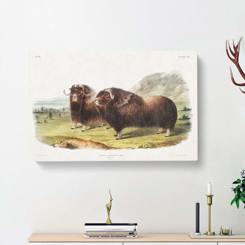Muskox - Wrapped Canvas Painting, Grey/Brown/Gold, 50cm H x 76cm W