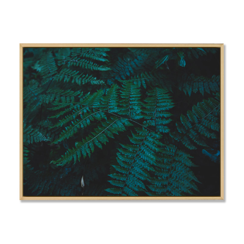 Brownies vert foncé - photographie sur toile, H 12 po x l 20 po, Cadre flottant en érable