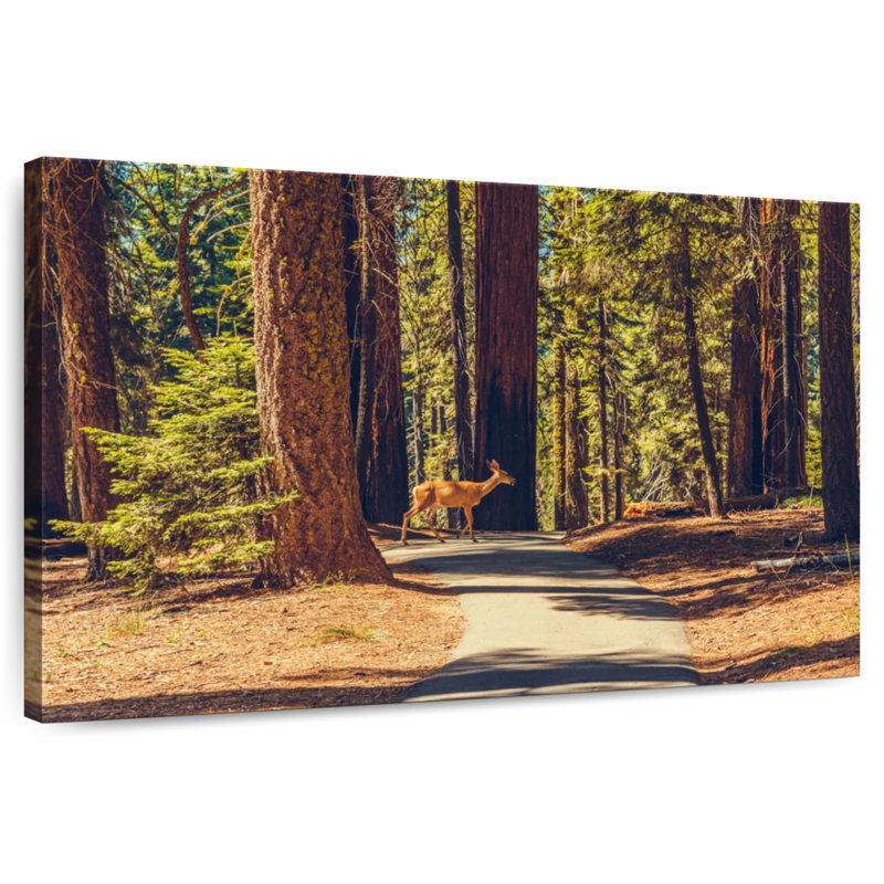 Brampt Elusive Deer, 16" H x 24" W
