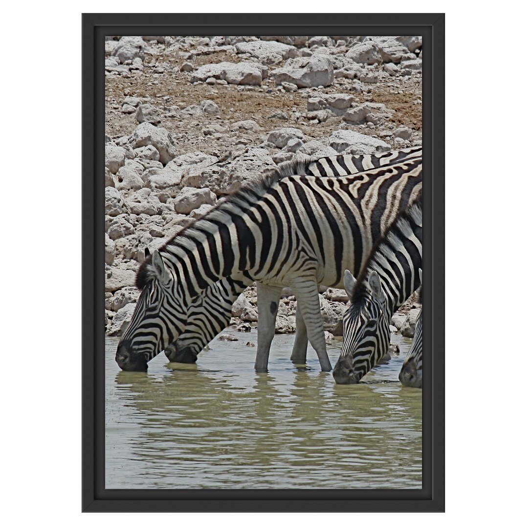 Gerahmtes Wandbild Zebraherde am Wasserloch