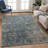 Machine Washable Indoor/Outdoor Jadiel ACN2359 Traditional Rug-490272508