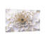 Plantes et fleurs fleur blanche avec accents dorés Z251224084240944198-1876396181