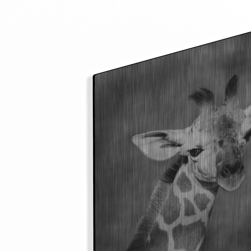 «Little Guy» par Debra Van Swearingen, H 12 po x l 12 po