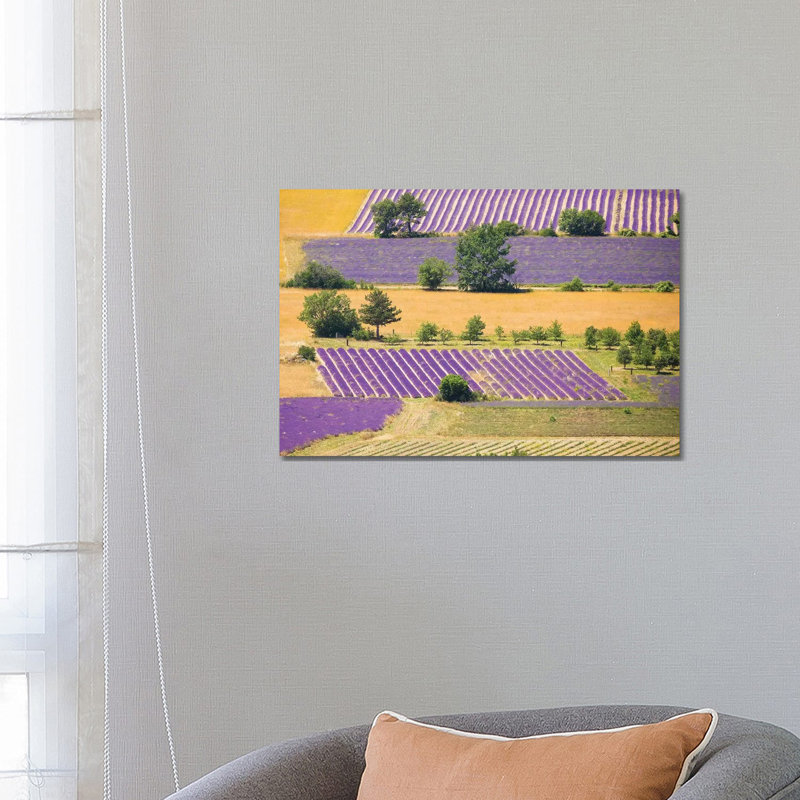 France, Provence, Sault Plateau. Overview Of Lavender Crop Patterns And Wheat Fields. by Jaynes Gallery - Wrapped Canvas Print