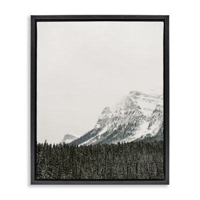 "Distant Snowy Peaks", art mural encadré par Justine Milton