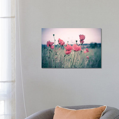 Pink Tulips by Adelino Goncalves - 1 Piece Wrapped Canvas Wall Art