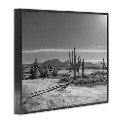 Sunlit Cactus Valley Framed Giclee, design by Norm Stelfox