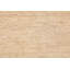 Hand Knotted Wool Area Rug in Beige