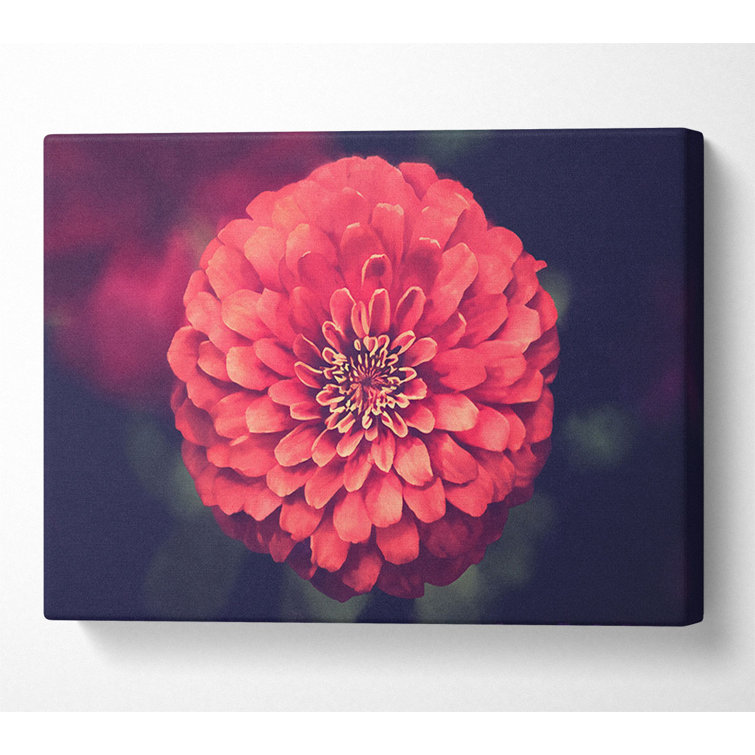 Circular Flower Perfectly Balanced - Wrapped Canvas Print