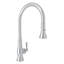 Patrizia™ Pull Down Single Handle Kitchen Faucet with Accessories-45368918