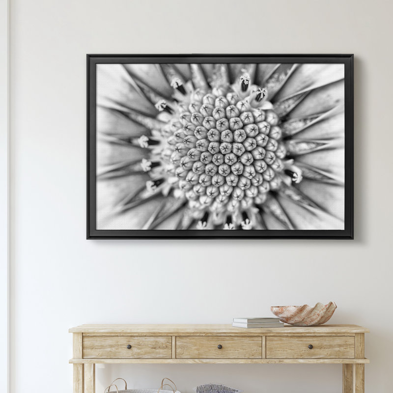 «Quiet Burst I», reproduction sur toile encadrée, H 26,5 po x l 36,5 po x P 1,5 po, Noir