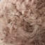 Epps Novelty 65 cm x 105 cm Sheepskin Area Rug