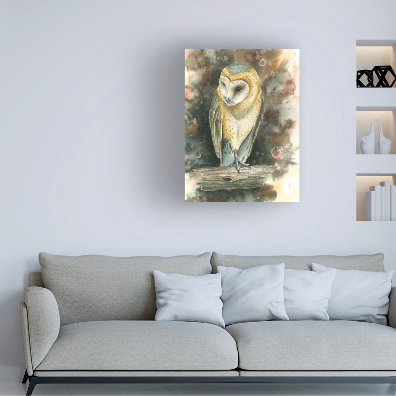 «Dave Bartholet Barn Owl», art sur toile, H 14 po x l 19 po
