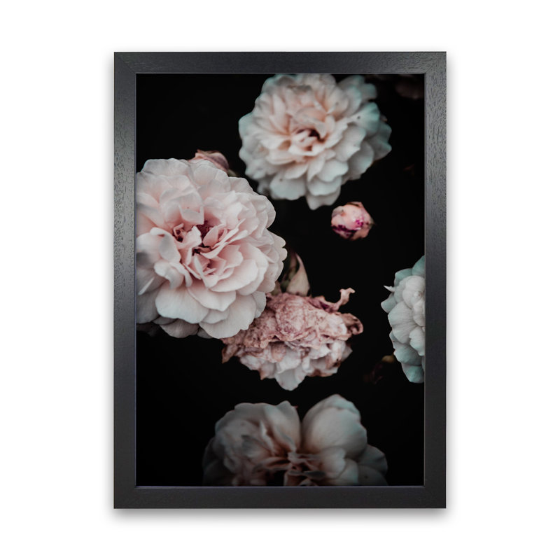 Crisp Pink by Victoria Frost - Print, Black Framed, 46cm H x 34cm W x 3cm D