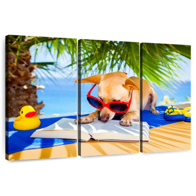 Chien ketti lisant sur la plage