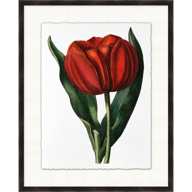 Red Flower 5 Print