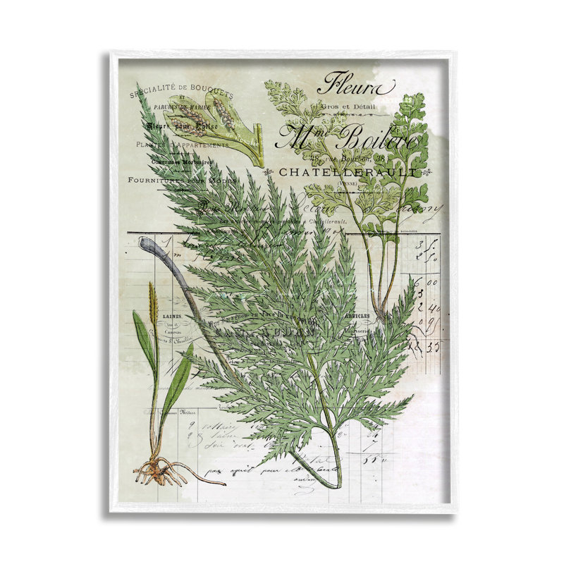 «Vintage Fern Nature Study» par Lil 'Rue - cadre flottant, impression sur bois, L 11 po x H 14 po x P 1,5 po