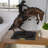 Bronco Buster Bronze Statue by Remington, Miltona Iconic American Decor Sculpture, 9"L x 24"W x 21"H