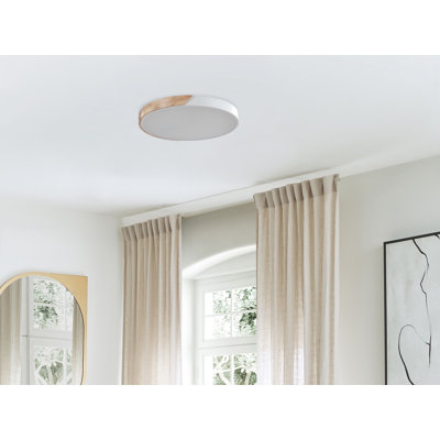 Hotze LED Flush Mount