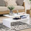 Umana Sled Coffee Table with Storage