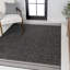 Alda Modern Minimalist Mingled Solid Black/Cream Indoor/Outdoor Rug-38578453