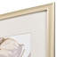 Bird Chatter S/2 Print by Jacobs Propac Images