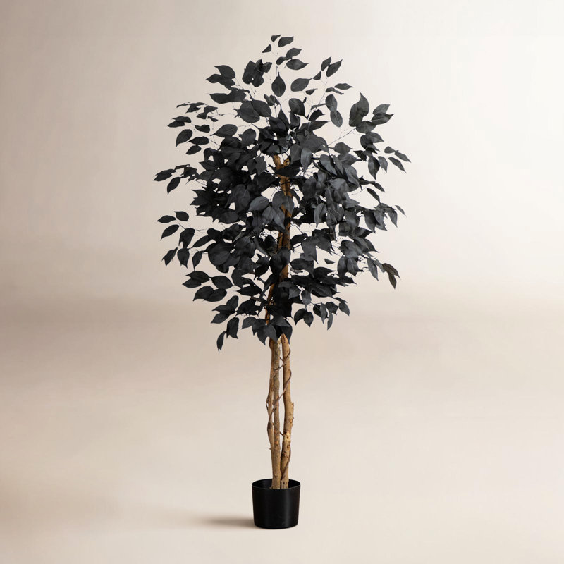 Ficus artificiel noir d'Halloween avec tronc naturel, 48" H x 28" W x 28" D