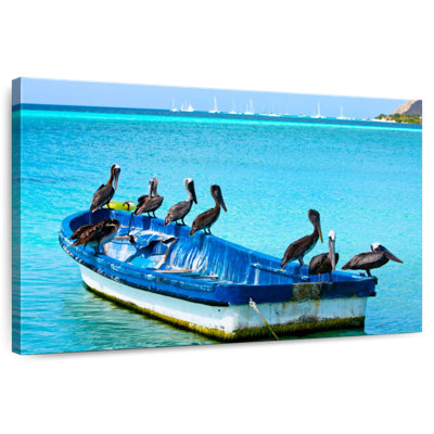 Pélicans sur un bateau