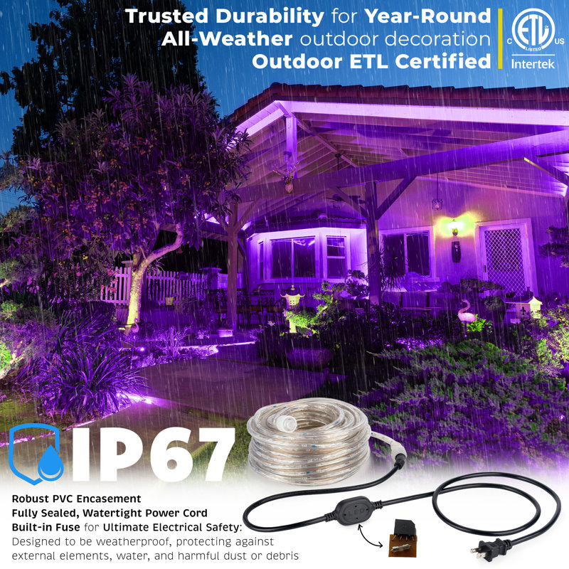 Cordon lumineux à DEL, H 0,375 po x l 600 po x P 0,375 po, 576, Mauve