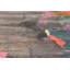 Tapis rose Brinkley-1336602857