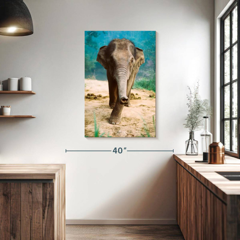 Brampt Curious Baby Elephant, 39" H x 26" W