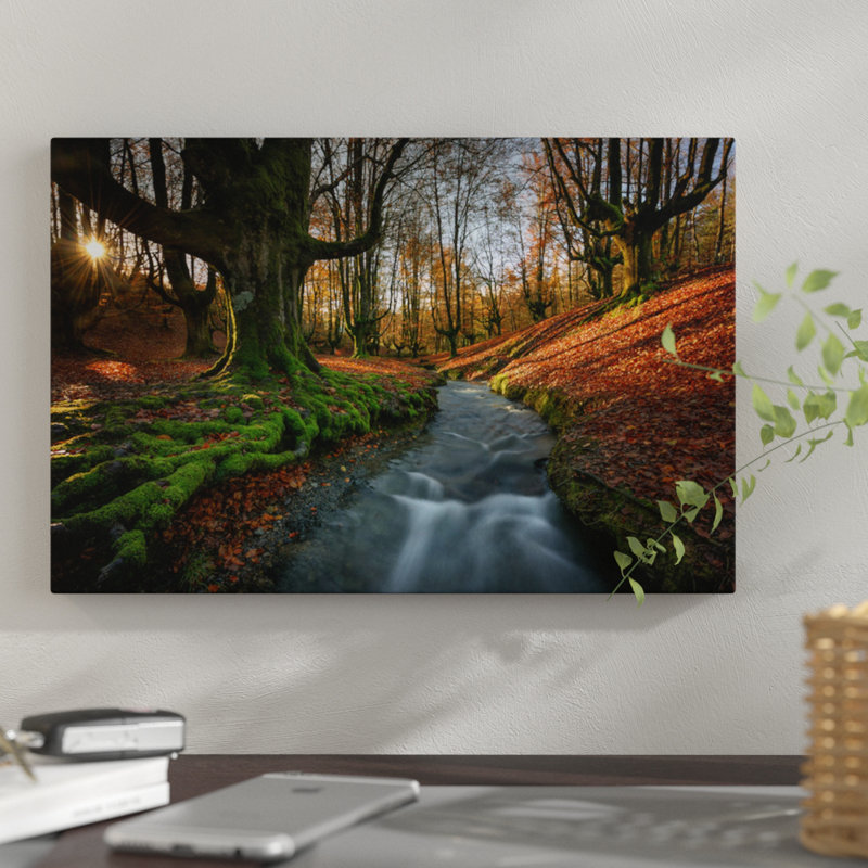 « magique forest », reproduction de photo sur toile, H 12 po x l 18 po x P 1,5 po, Pas de tapis, Toile tendue