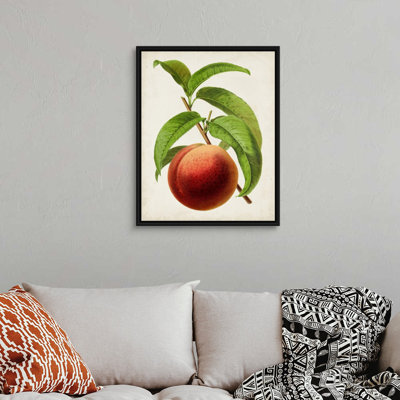 Antique Fruit V - reproduction d'art sur toile