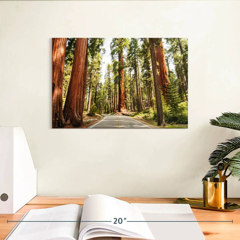 Harnek Sequoia Tree Lane, H 8 po x l 12 po