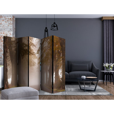Carroll 225cm W x 172cm H 5 - Panel Solid Wood Folding Room Divider