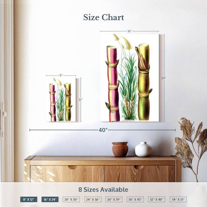 Harnek Sugarcane Stalks, 12" H x 8" W
