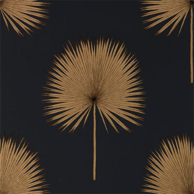 Fan Palm Wallpaper