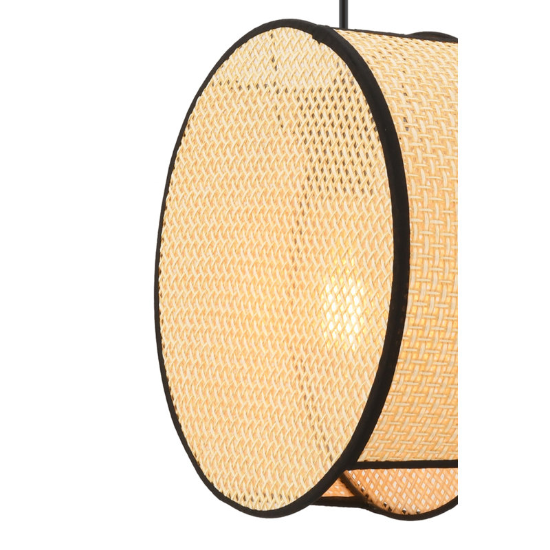 Lustre, H 13,78 po x l 3,54 po x P 8,66 po, Chameau