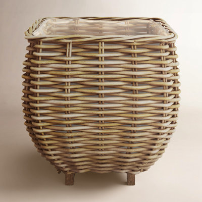 Birch Lane™ Pallie Seagrass Planter
