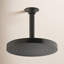 Awaken 8" 2.0 GPM Rain Showerhead-580226425-755290347