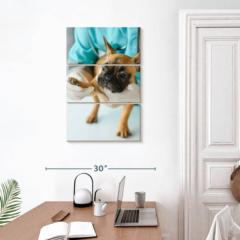Pet Care, 32" H x 20" W
