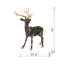 Cerf debout