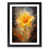 Black Framed selected