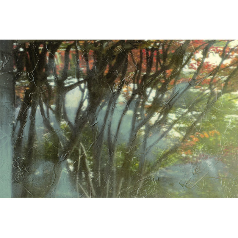 Dream Sequence IV, H 24 po x l 36 po x P 1 po