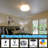 Fateema Acrylic LED Flush Mount-78474550