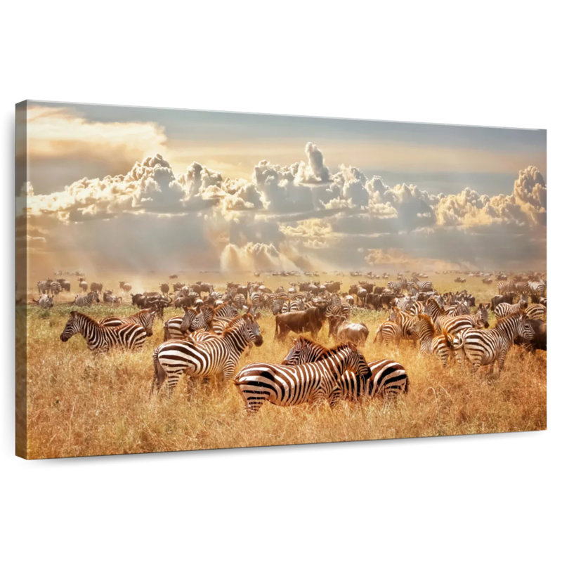 Zèbres sauvages d'Afrique, H 16 po x l 24 po