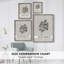Impression florale vintage encadrée CCXI - bois massif-1687023252