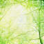 Print on Canvas-475074890-475074895